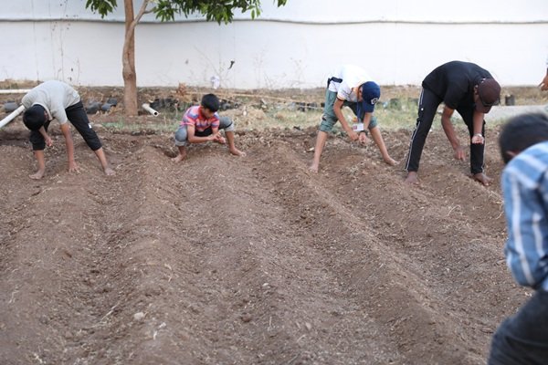 Students farming
