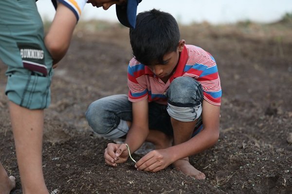 Students learning sustainable farming